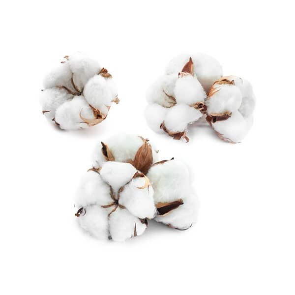 NCDEX Unlisted Shares