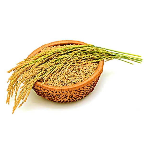 NCDEX Unlisted Shares